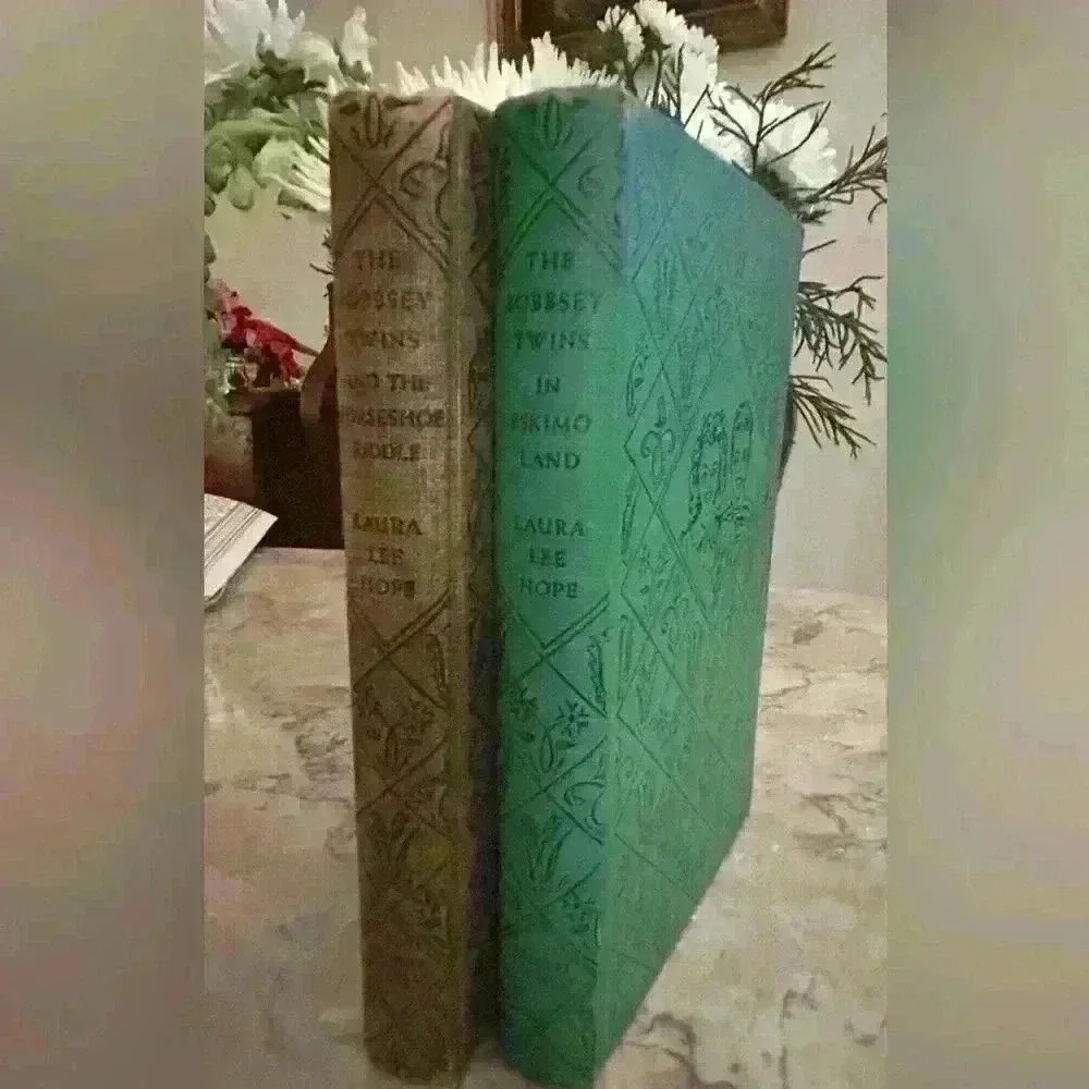 Pair of vintage BOBSEY Twins hardcover books green